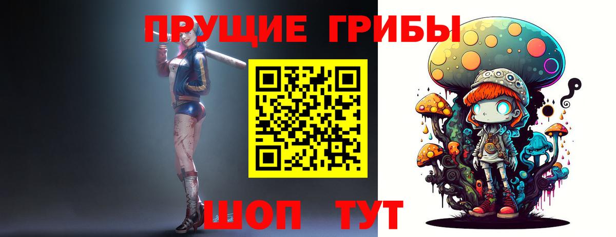 Подольск  Псилоцибиновые грибы MAGIC MUSHROOMS  Вход с VPN 