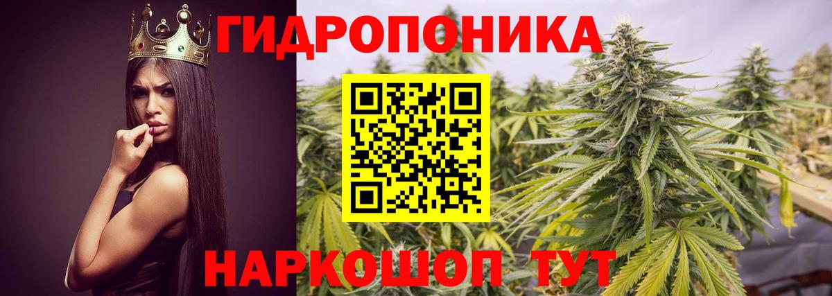 Марихуана Bruce Banner  Вход с VPN  Подольск  Каннабис ГИДРОПОН 